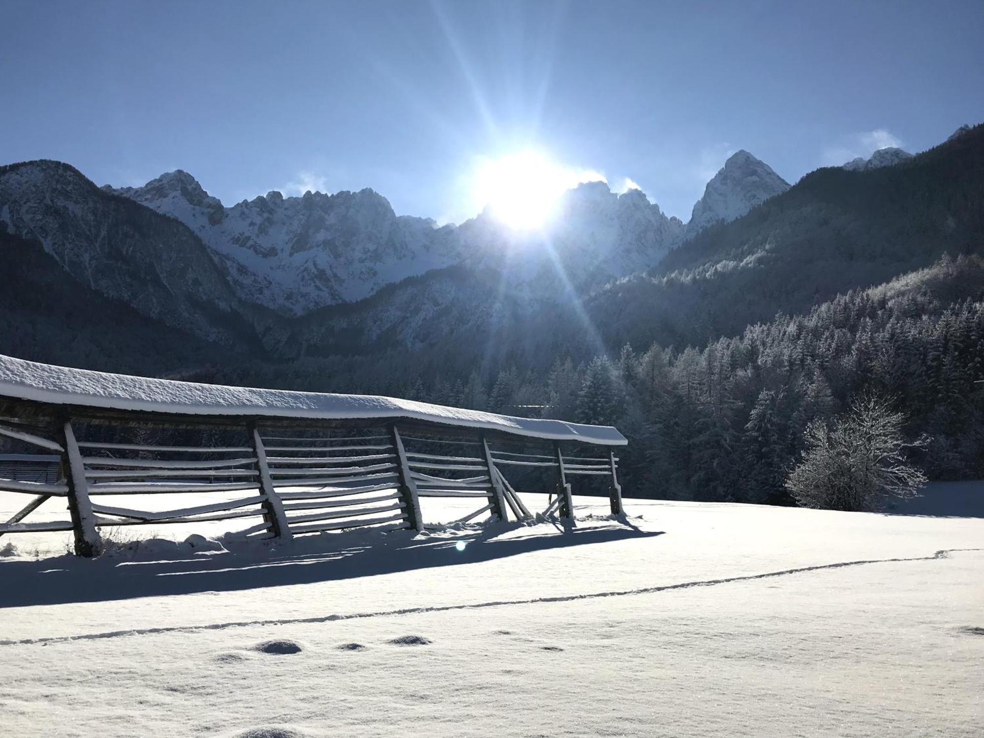 Apartment Loyd, Kranjska Gora - Studio Екстер'єр фото